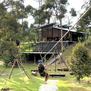 Flying Fox - 1 Session